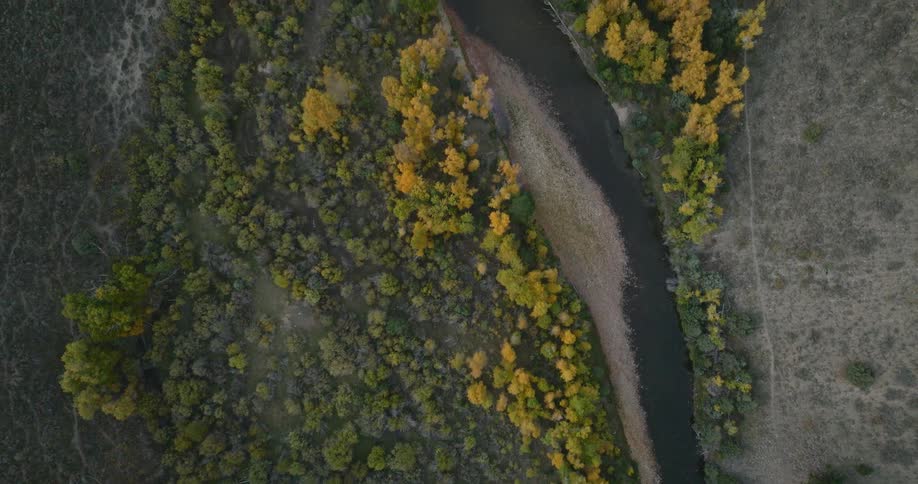 From directly above a dark ribbon of water slices through a dense forest where vibrant yellow treetops create brilliant pops of autumn color against the landscape