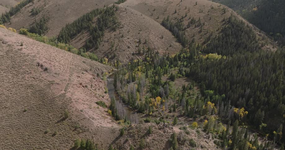 A mountain is nearly bare on one side and heavily forested on the other
