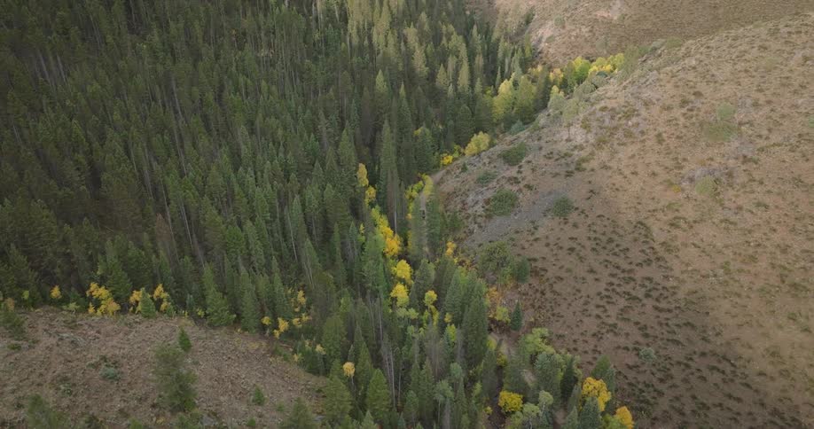 Aerial view of a highway between mountains and conifers