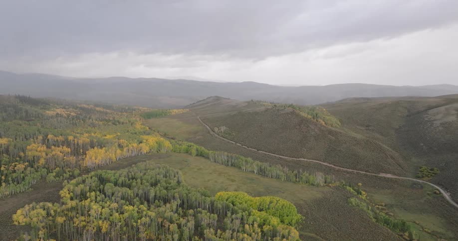 Panoramic scenery of mountains and forests