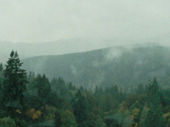 Glass looks out onto a forest bordering a mountain on a foggy autumn day