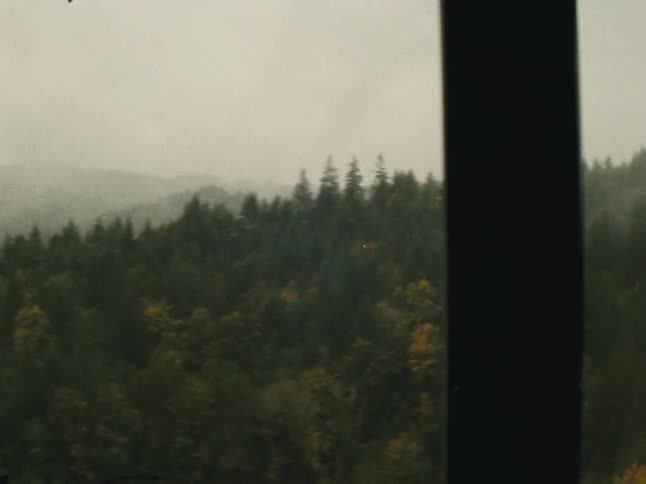 Fog can be seen rolling over the trees from the balcony