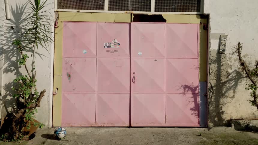 A pink metal gate with a soccer ball in front and plants on both sides