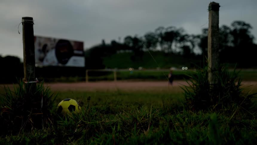 Cars pass by the green field