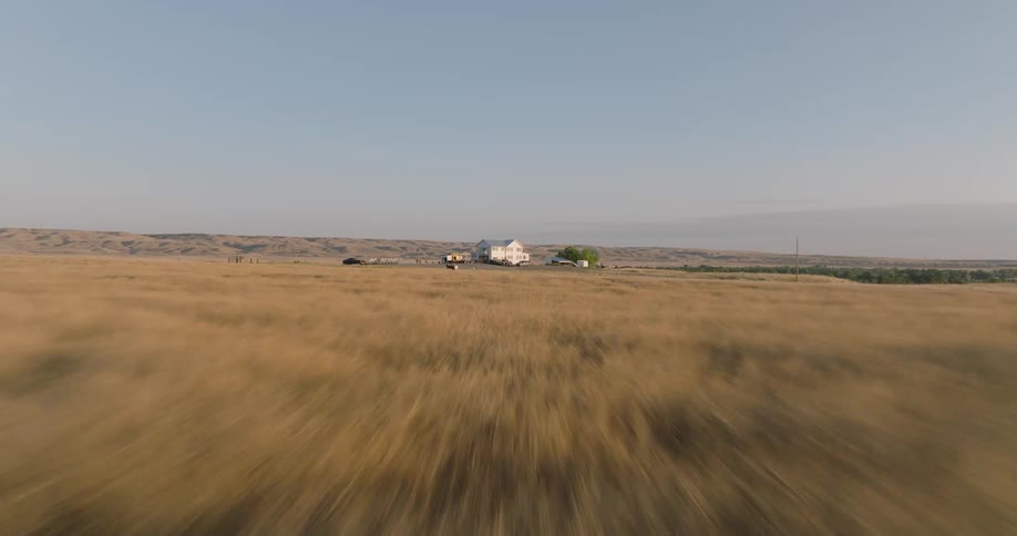 A home is in the middle of a vast flat field of yellow grass