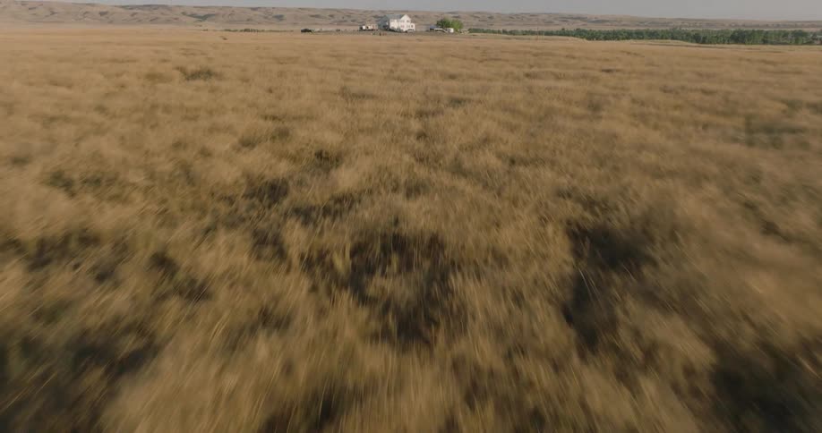 A grassland with a building visible in the distance at midday
