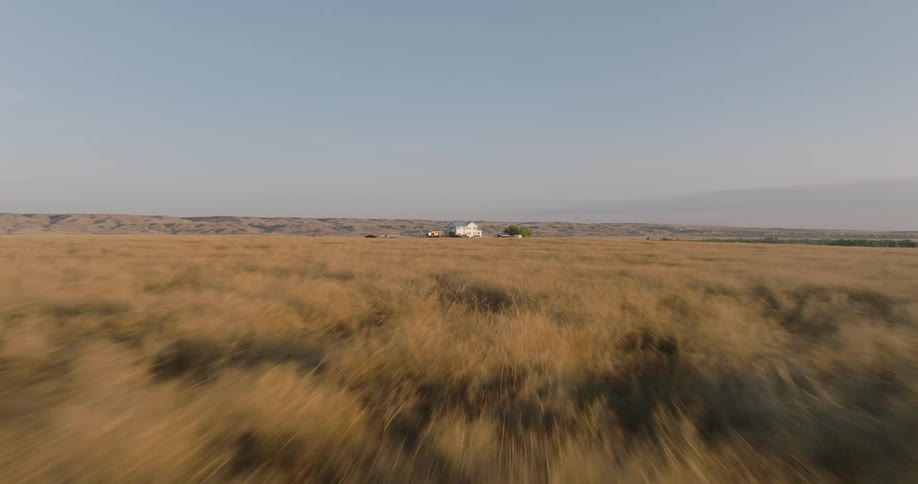 White farmhouse on dry plains with grazing horses and hills behind
