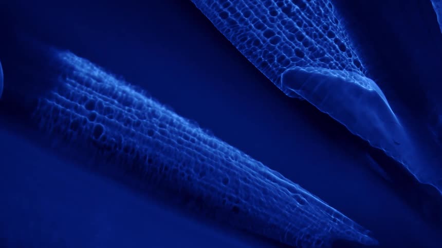 Long textured shapes rotate against a darker blue background