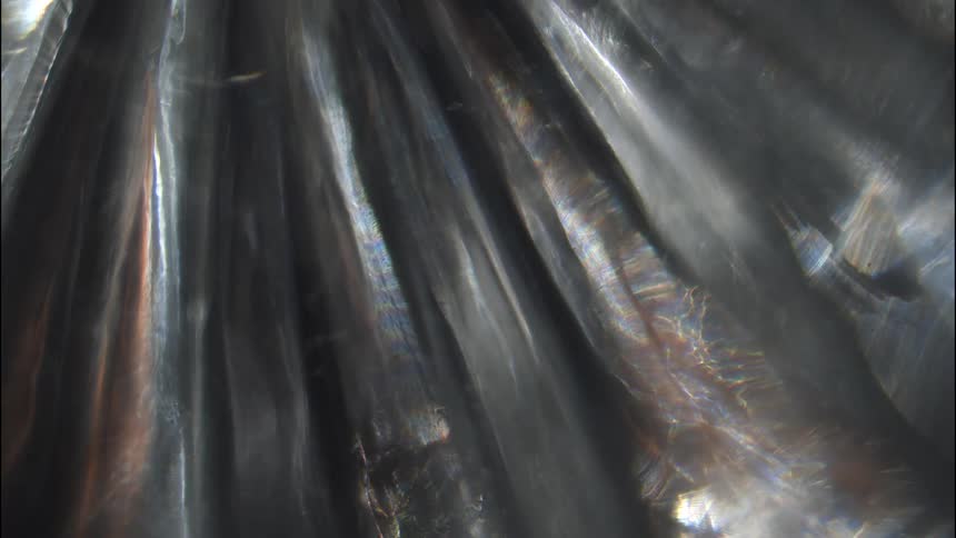 Light reflects off a black crinkled surface creating abstract textures and colors