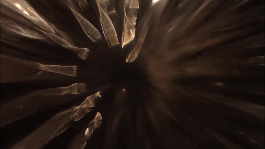 Dark brown tones with golden highlights in a radial shape with a round center