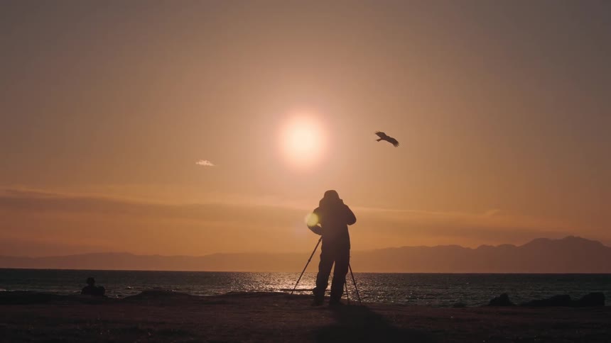 A person with a tripod photographs the ocean during a scenic sunset with a bird flying nearby