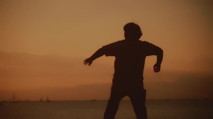 A person is silhouetted against a sunset sky throwing a ball near the ocean