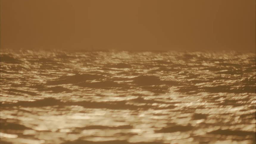 Waves are moving in the ocean as the sun shimmers on it
