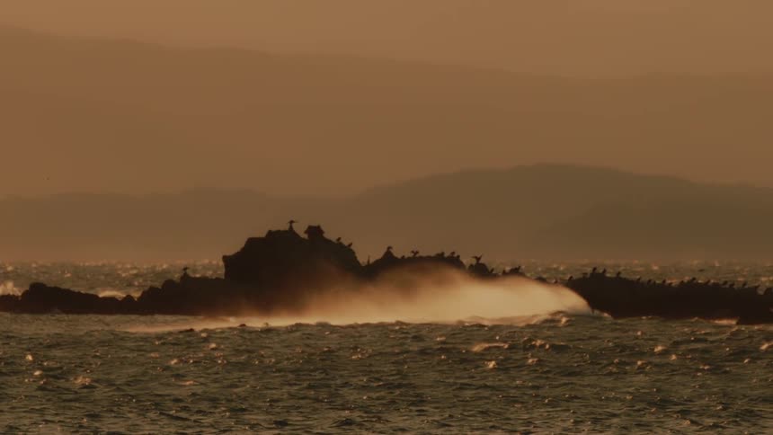 Waves crash against a rocky island at sunset with birds perched along the top
