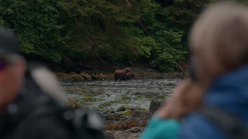 People in the foreground watch two bears in a river in the background
