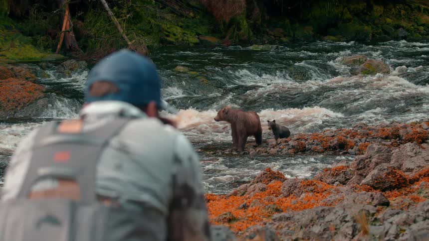 Wildlife photographer captures a bear and her cub standing on rocks in a river