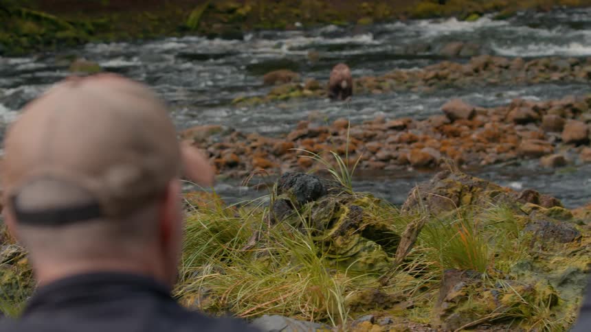 Two people stand in the forest beside a stream at midday using their phones to take pictures of a bear walking in the stream