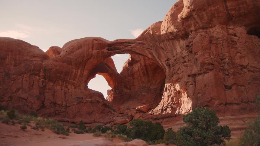 Plants and vegetation around red rock arches and desert canyons
