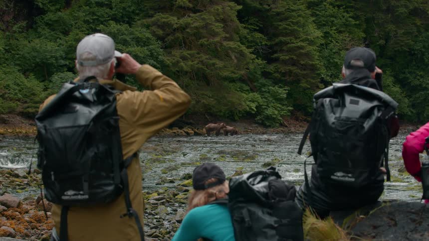 Four people with backpacks and cameras observe bears in a river with a lush forest in the background