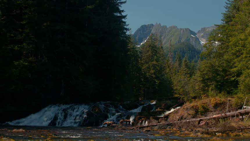 Scenic mountain stream flows through a forest with snow capped peaks in the distance