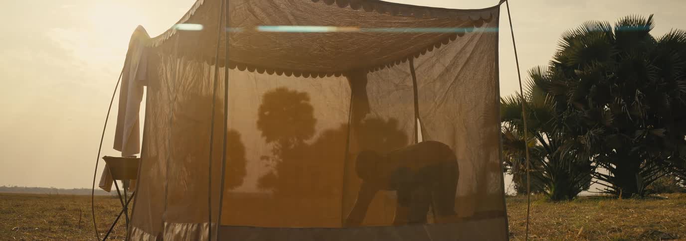 A person arranges bedding inside a scallopededge translucent tent as warm golden sunlight bathes the scene