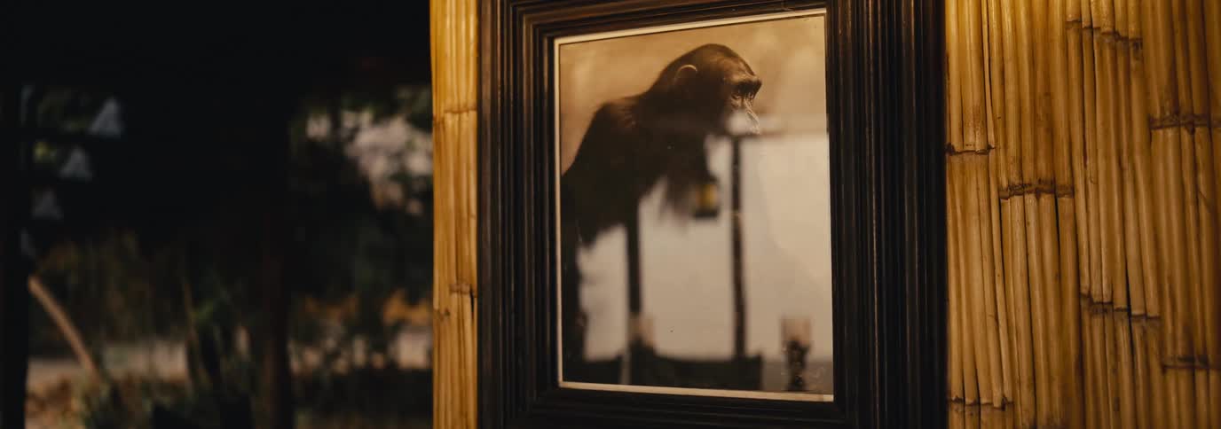 Painting of a chimpanzee on a bamboo wall