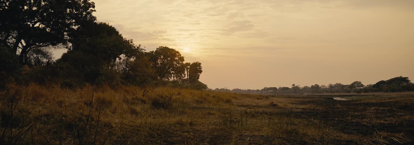 The sun sets in the horizon of the wilderness landscape