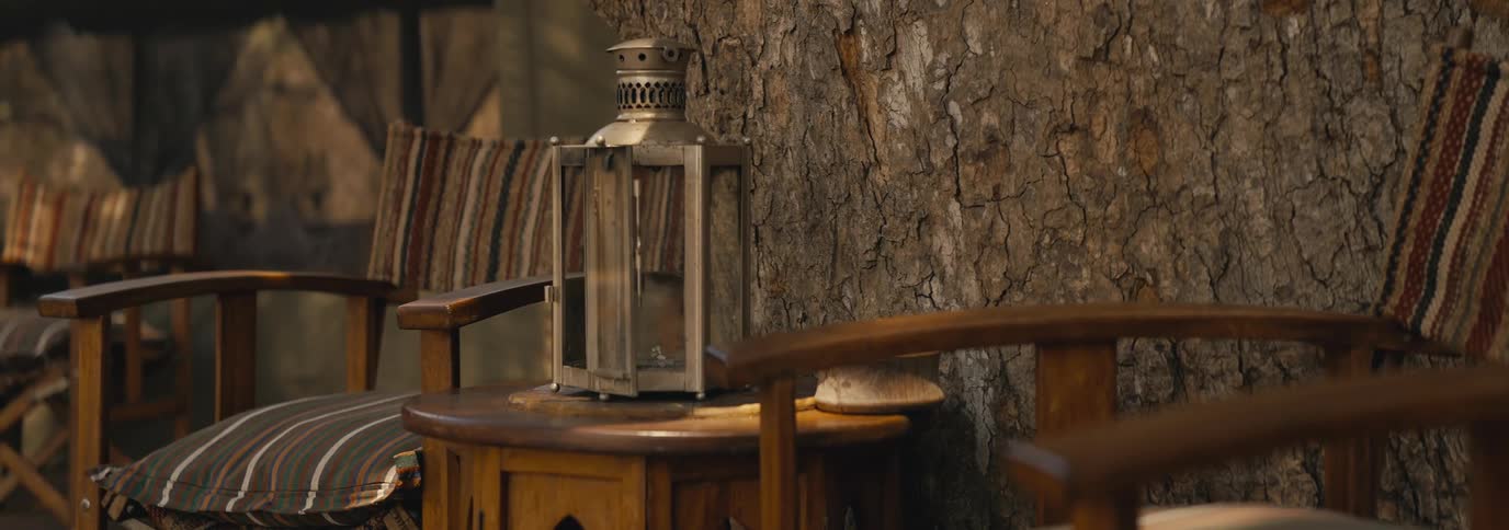 A rustic seating area with wooden chairs and a lantern sits beside a tree trunk