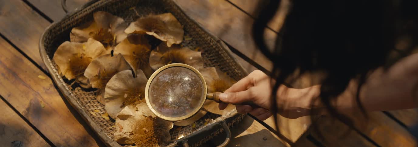 The woman magnifies the items in the basket with a magnifying glass