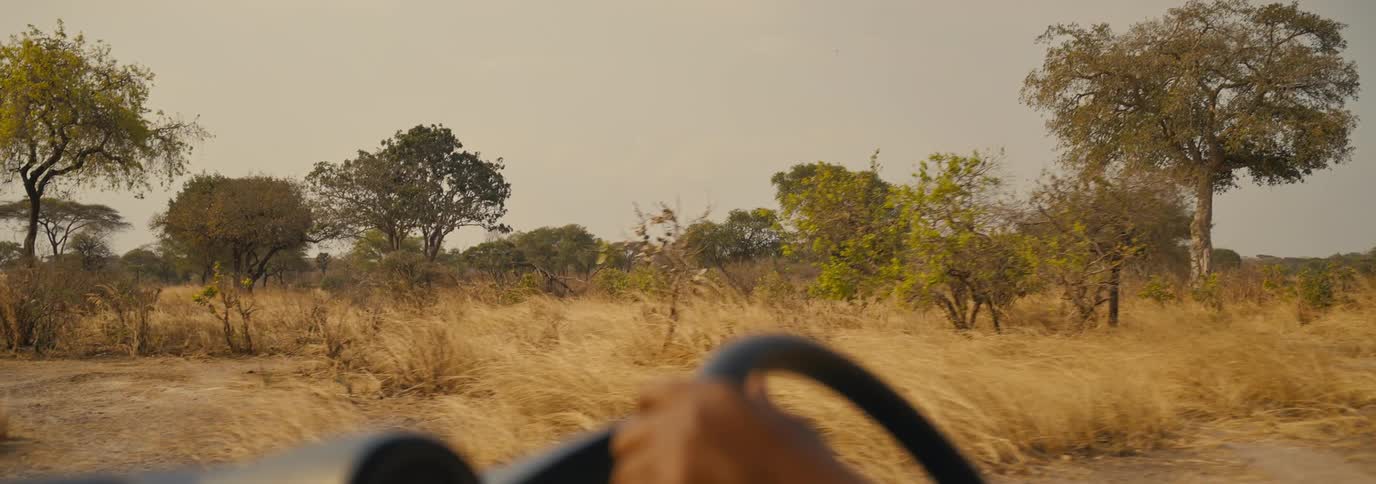 A person drives through a dry grassy landscape on a dirt road in the savanna