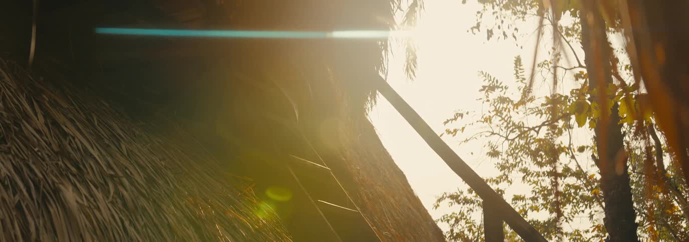 Wooden staircase leading to a straw hut in nature