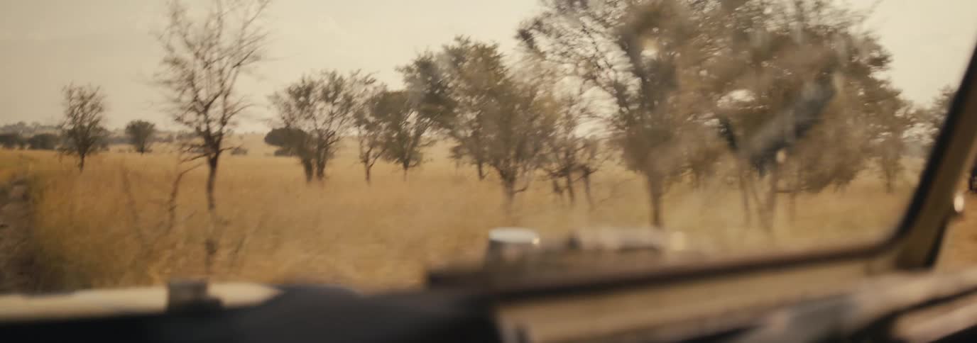 View of a savanna landscape through a vehicle windshield