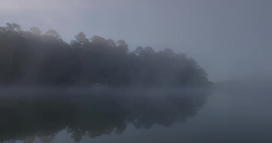 A view of an open field with trees and it is foggy