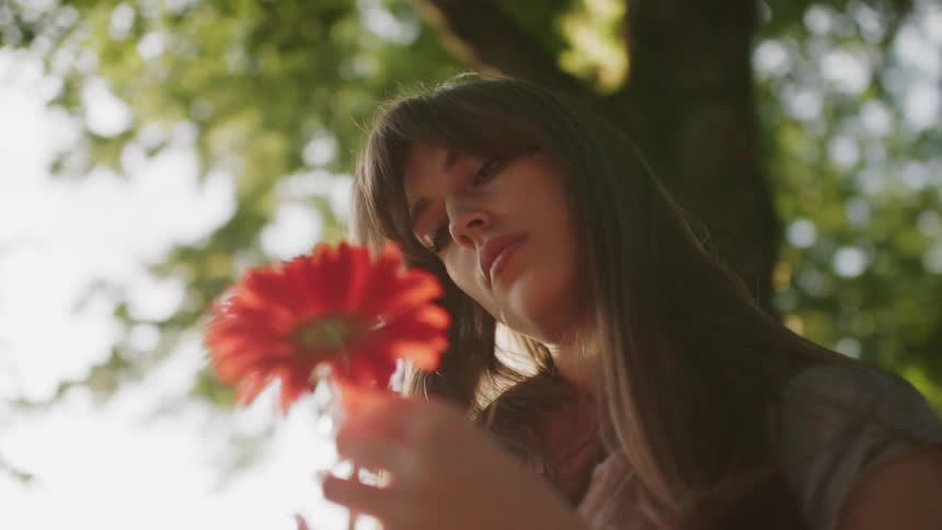 Woman holding a flower while standing in a treelined environment
