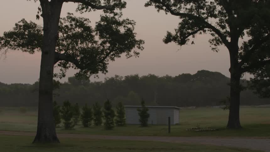 A view of a shed surrounded by trees and larger trees in the foreground