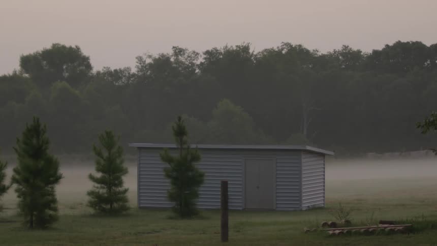 A view of a shed with some trees around it and woods in the background