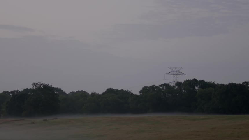 A view of a field with a woods in the horizon and the sky is gray