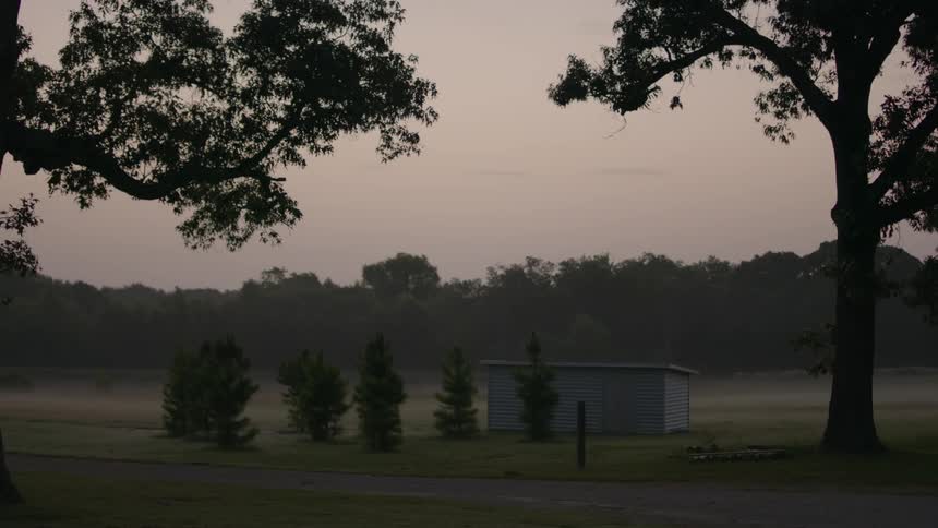 A shed or small home next to some trees and an open yard
