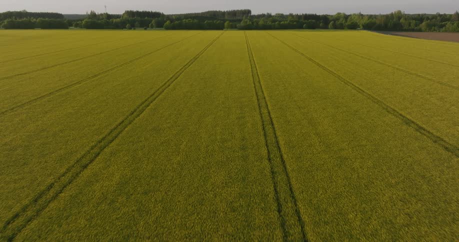 The farm has long green fields
