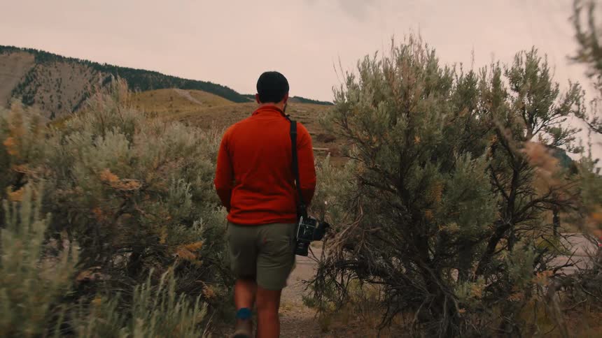 A photographer carrying a camera is walking through some bushes towards the road