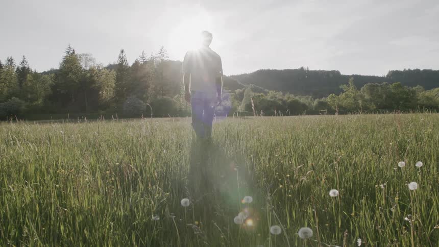 A lone man walks through a tall green field with the sun creating a strong lens flare directly behind him