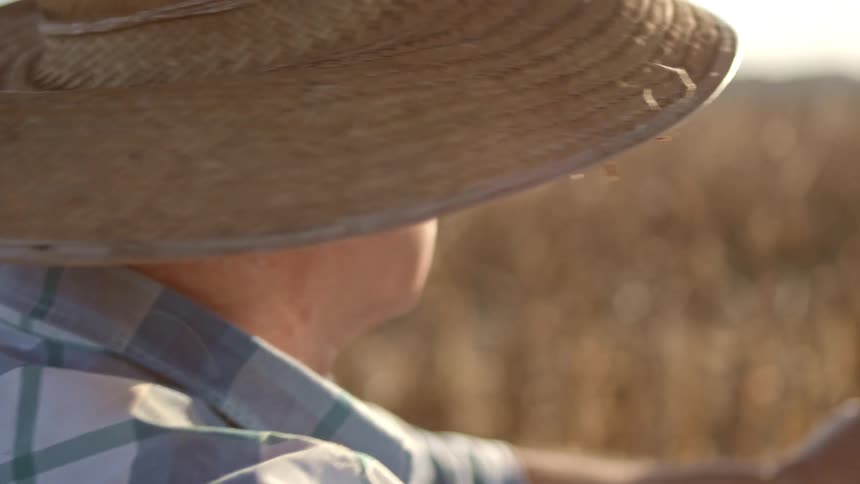 The face of an elderly man wearing a straw hat and me looking at a field of beige vegetation