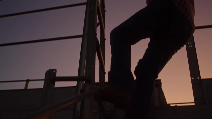 The man climbs the ladder on the farm