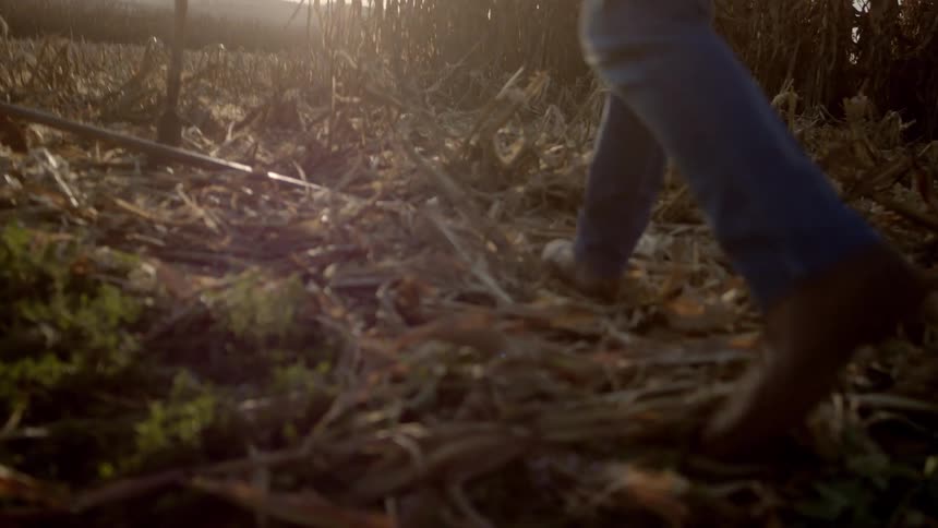 The man picks up a hoe on the farm
