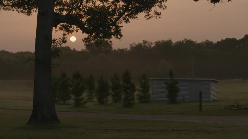 A shed sits on this field with some trees around it