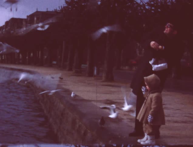 Birds fly all around a woman and child