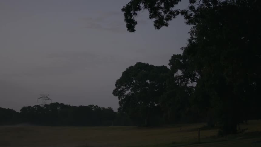 A field leads to a dark forest