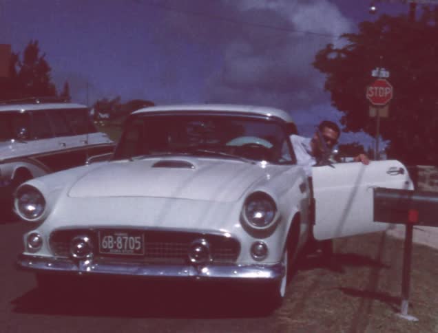 A man stands by his car waves and gets in