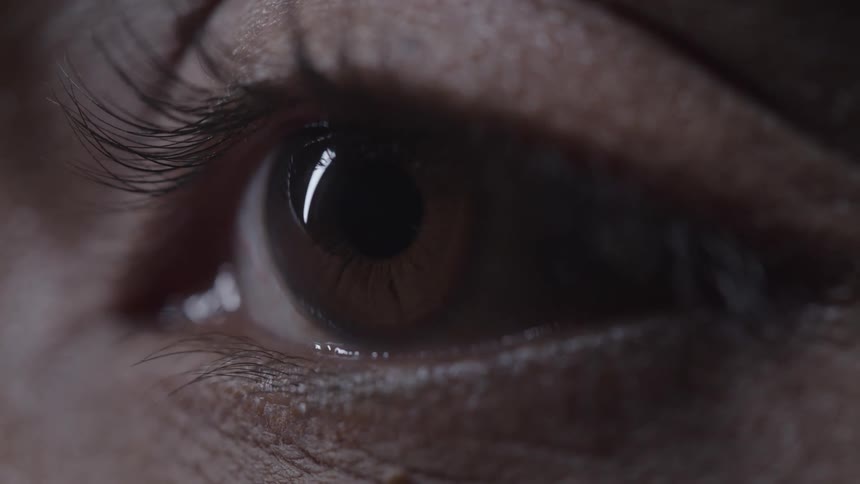 A close view of an open eye shows its dark iris and pupil with distinct eyelashes and the reflection of light