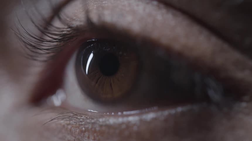 Light reflects on the brown eye